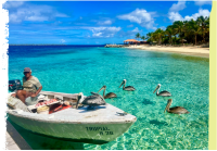 Curacao (niederl. Antillen)