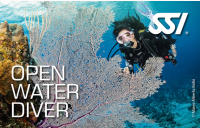 Open Water Diver