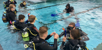 Pool - Training